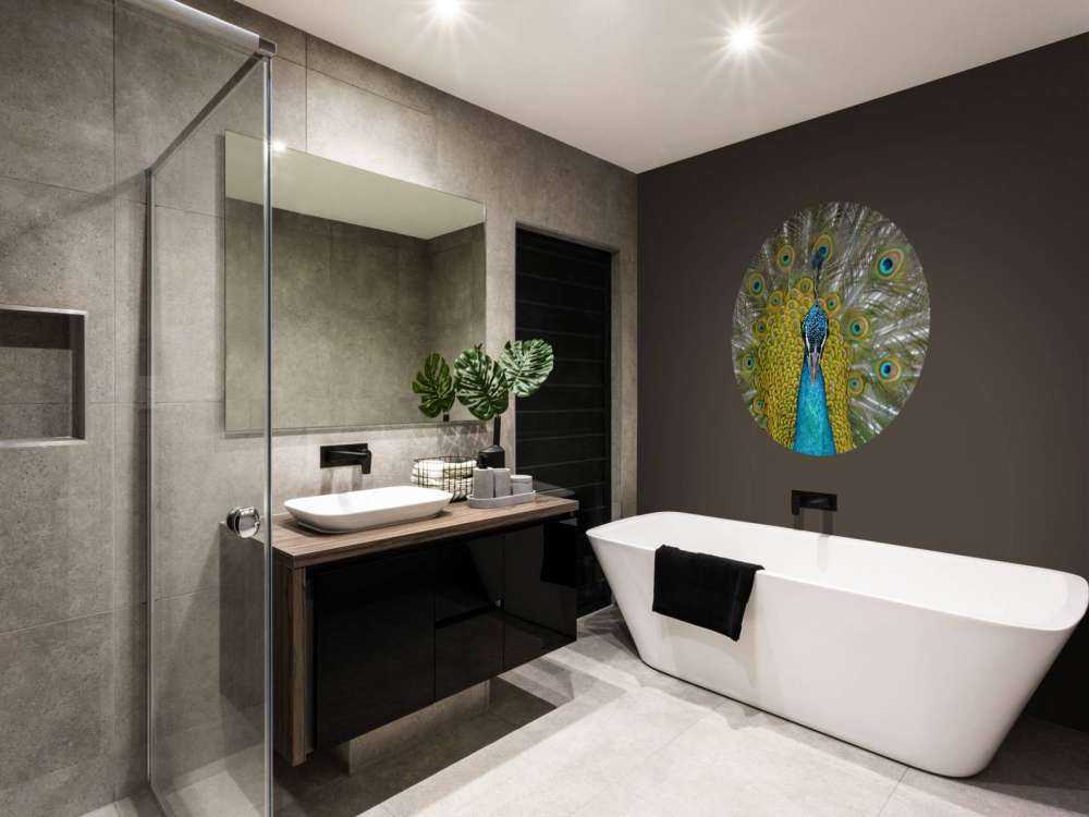 Front view of a peacock